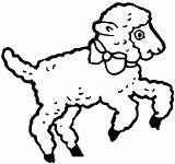 Lamb Coloring Pages Template Baby Sheep Lambs Printable Colouring Clipart Drawing Easter Lion March Fun Print Kids Color Clipartbest Getcolorings sketch template