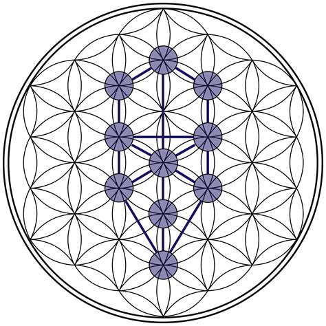 Flower Of Life Golden Ratio Flower Of Life Ancient