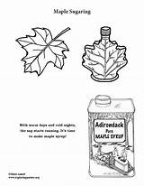 Maple Sugaring sketch template