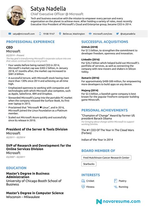 write  ceo resume  examples template