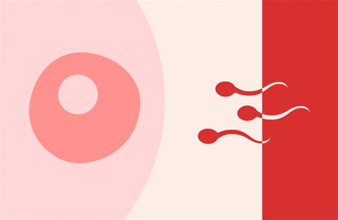 Can Period Sex Make You Pregnant Vairm