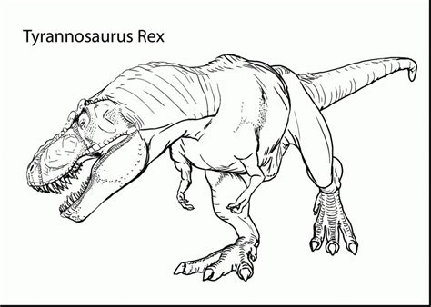 jurassic park  rex coloring sheet bubakidscom