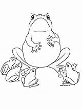 Coloring Pages Printable Frog Frogs Kids sketch template