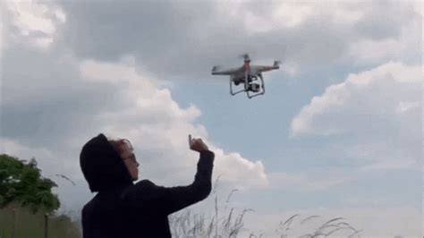 sibylle berg drone gif  frau berg find share  giphy
