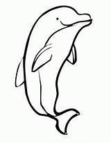 Coloring Pages Dolphin Printable Dolphins Winter sketch template