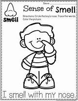Senses Smell Five Preescolar Preschoolers Sentidos Ingles Playtime Planning Planningplaytime Colorear Smelling Absurdos Teach sketch template