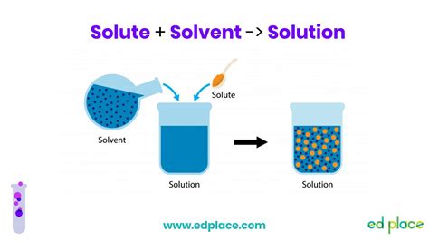 year  science lesson solute solvent solution edplace youtube