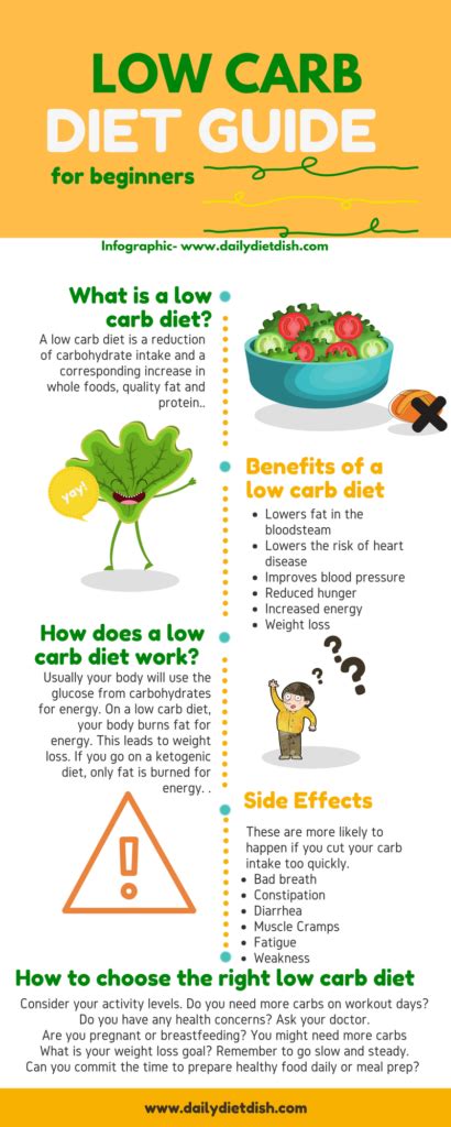carb diet beginners guide   carb  infographic