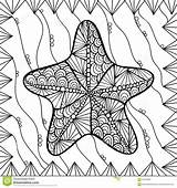 Starfish Zentangl Style Preview sketch template
