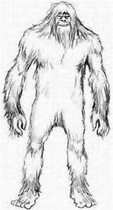 Bigfoot Pages Coloring Sasquatch Drawing Color Drawings Monster Foot Big Yeti Frontiers Enjoyed Yourself Hope Ve Sightings sketch template