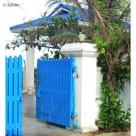 jeevans world blue gate