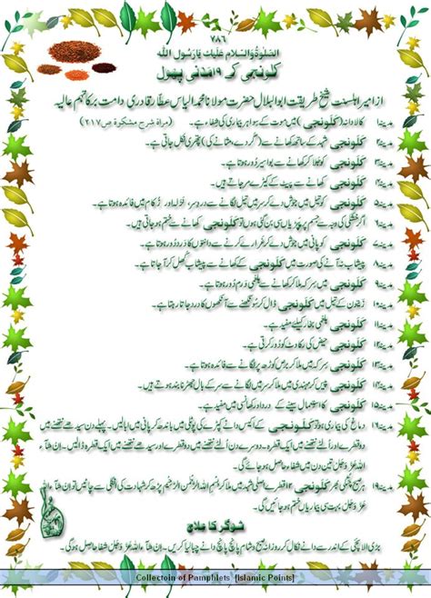 Islamic Urdu Books Tib E Nabavi In Urdu