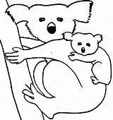 Koala Coloring Pages Color Koalas Baby Animal Sheet Bear Drawing Animals Printable Kids Print Panda Wombat Getdrawings Clipart Popular sketch template
