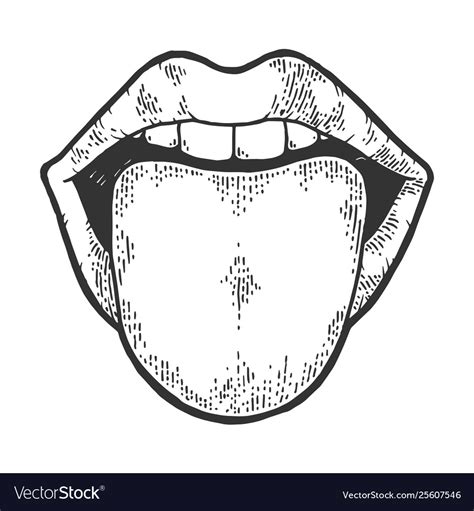 tongue showing from mouth sketch engraving vector image