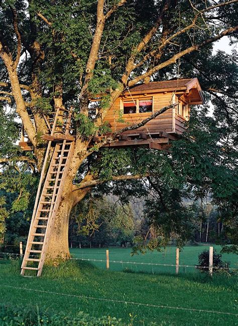 modern tree houses  baumraum homemydesign