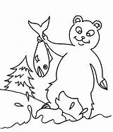 Urs Smokey Colorat Oso Planse Osos Animales Desene Salbatice Animale sketch template