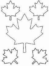 Leaf Maple Canada Coloring Cut Pages Printable Templates Leaves Template Color Pattern Print Kids Patterns Fall Colouring Clipart Clipartbest Autumn sketch template
