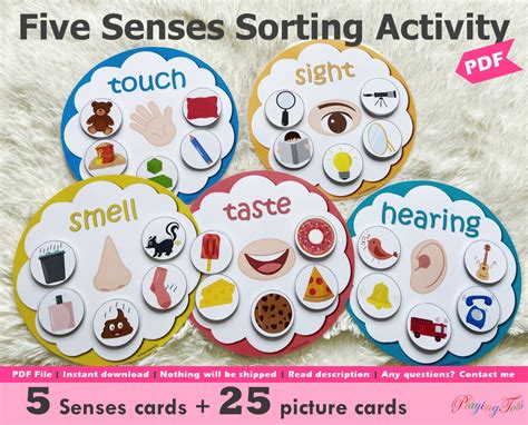 senses sorting activity printable  senses sorting etsy