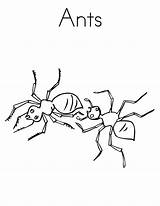 Coloring Ant Ants Pages Printable Kids sketch template