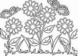 Bunga Flower Mewarnai Taman Kupu Diwarnai Hitam Putih Indah Sketsa Belum Cantik Matahari Koleksi Pewarna Kartun sketch template