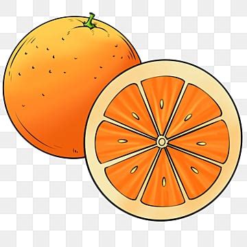 orange clipart images   png transparent background