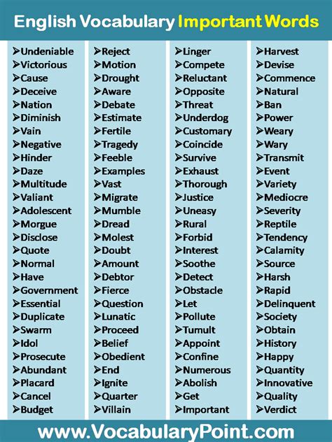 important words  english vocabulary point