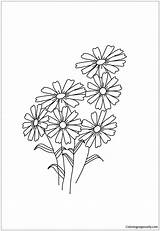 Pages Flowers Coloring Color sketch template