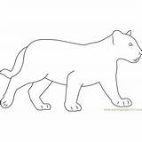 Panther Coloring Pages Baby Panthers sketch template