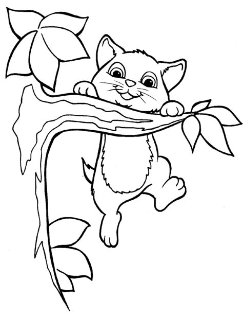 cat coloring pages  kids  coloring pages
