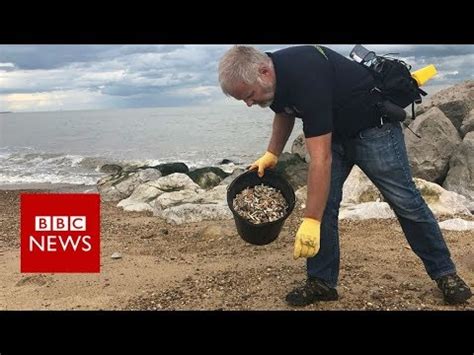 plastic smokers leave  bbc news youtube