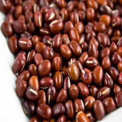 red gram seeds packaging size depends rs  kilogram ajinkya seeds