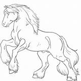 Horse Coloring Pages Lineart Drawing Drawings sketch template