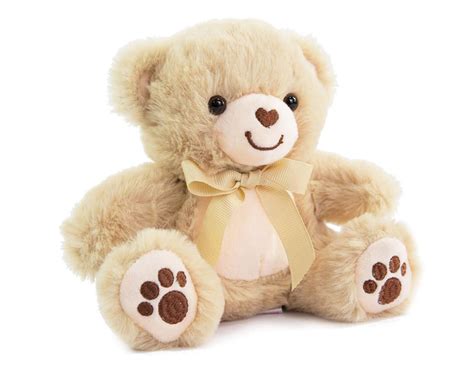 brown cuddly bear  bundle box