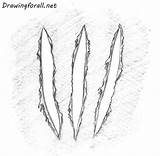 Wolverine Claws Claw sketch template