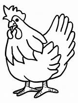 Coloring Pages Chicken Animals Cock Printable Print sketch template