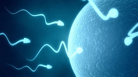 10 Things You Need To Know Before You Test Your Sperm Count Huffpost