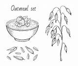Oatmeal Line Oats Muesli Sketch Oat Food Premium Grain Ear Engraved Flake Porridge Milk Breakfast Bowl Fruit Healthy Icon Sweet sketch template