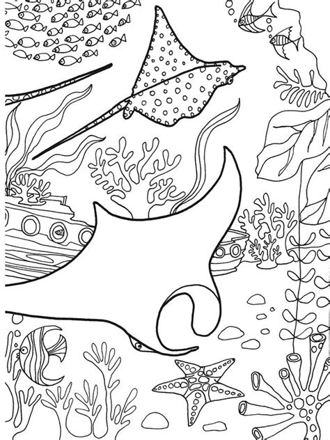 images    sea coloring  painting pages