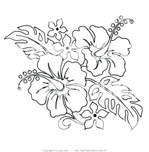 hawaiian flowers coloring pages flower coloring page flowers pages