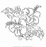 Hibiscus Colorear Hawaianas sketch template