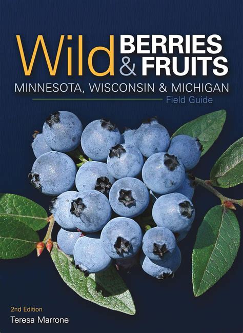 wild berries fruits identification guides wild berries fruits
