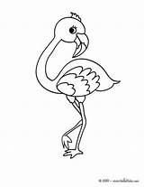 Flamingo Coloring Pages Cute Drawing Animal Print Kids Baby Color Heart Printable Colouring Simple Hellokids Bird Flaming Template Line Kawaii sketch template