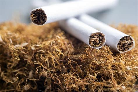 Eight Things You Need To Know About Tobacco Products In Depth