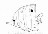 Drawing Draw Butterflyfish Step Fish Easy Fishes Drawings Drawingtutorials101 Coloring Sea Animals Book Learn Tutorials Tutorial sketch template