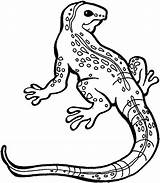 Lizard Coloring Pages Drawing Gila Monster Kids Monitor Print Spiderman Getcolorings Column Corinthian Color Getdrawings Book Paintingvalley Chuckwalla sketch template