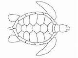 Turtle Coloring Pages Printable Templates Outline Aboriginal sketch template