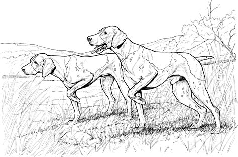 dog breed coloring pages