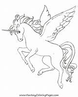 Pegasus Unicorns Coloring Pages Getdrawings sketch template