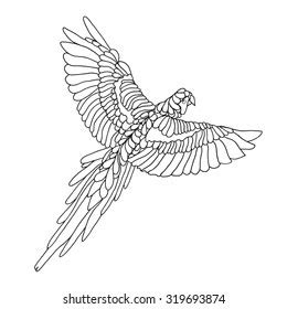 flying parrot coloring pages hakume colors