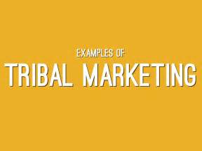 tribal marketing in social media by andra modreanu